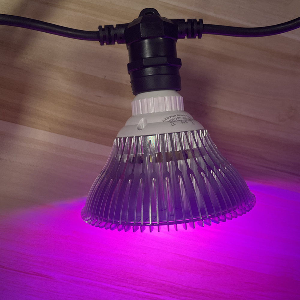 Cavo LED da 10 m, impermeabile - Outdoor Lighting Cable recensione e prezzo